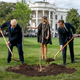 Image for article titled Trump and Macron's Disappearing Tree is Just in Quarantine to be Monitored For Pests